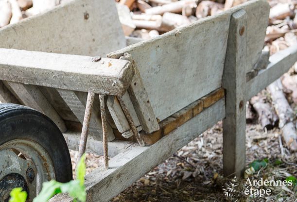 Chalet Wiltz (G.D. Luxembourg) 11/13 Pers. Ardennen Wellness