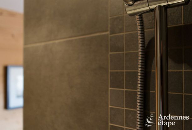 Chalet Wiltz (G.D. Luxembourg) 11/13 Pers. Ardennen Wellness