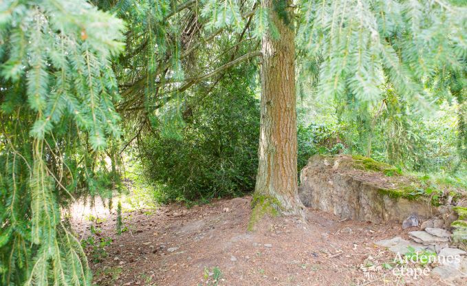 Chalet Wiltz (G.D. Luxembourg) 11/13 Pers. Ardennen Wellness