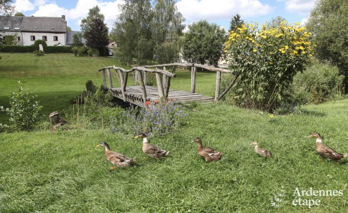 Ferienhaus Wiltz (LUX) 6 Pers. Ardennen