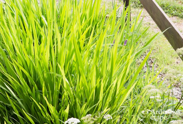 Ferienhaus Xhoffraix 16 Pers. Ardennen