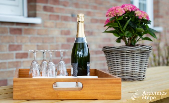 Ferienhaus Xhoffraix 10 Pers. Ardennen Wellness