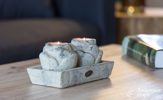 Ferienhaus Yvoir (Crupet) 14 Pers. Ardennen