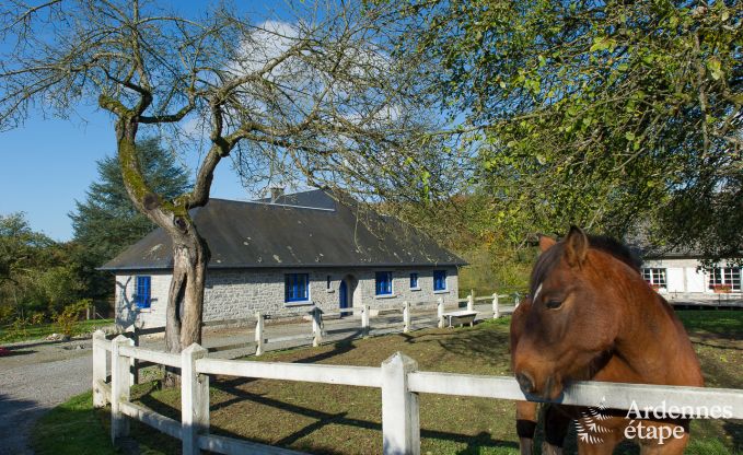 Ferienhaus Yvoir (Crupet) 14 Pers. Ardennen