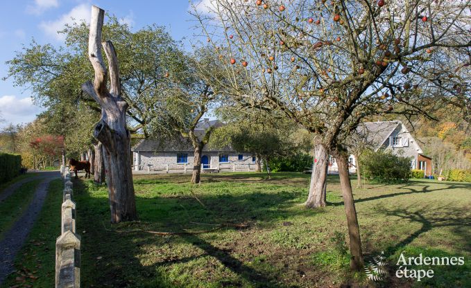 Ferienhaus Yvoir (Crupet) 14 Pers. Ardennen