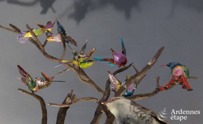 Ferienhaus Yvoir (Crupet) 14 Pers. Ardennen