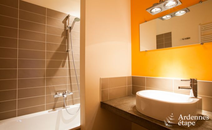 Ferienhaus Yvoir 4/5 Pers. Ardennen