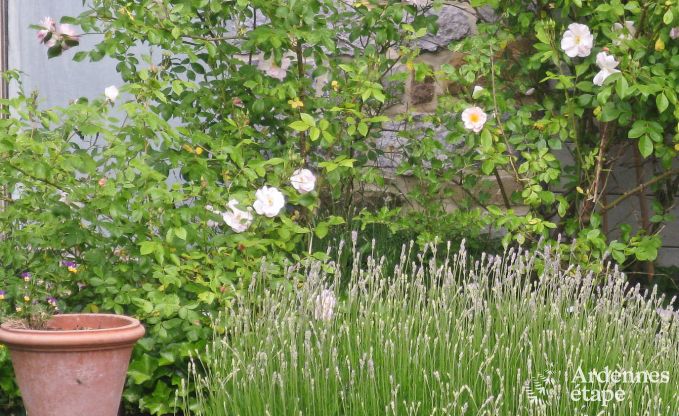 Ferienhaus Yvoir 4/5 Pers. Ardennen