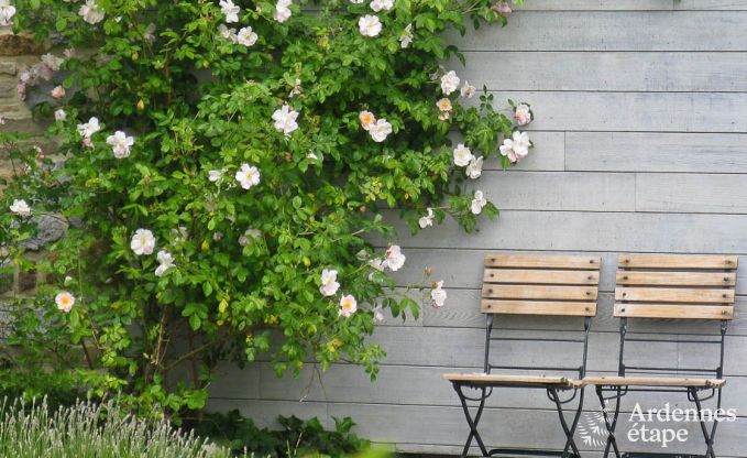 Ferienhaus Yvoir 4/5 Pers. Ardennen