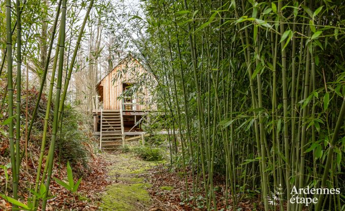 Einzigartiges und gemtliches Ferienhaus fr 2 in Yvoir, Ardennen