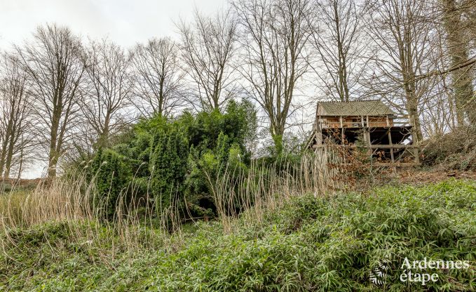 Einzigartiges und gemtliches Ferienhaus fr 2 in Yvoir, Ardennen