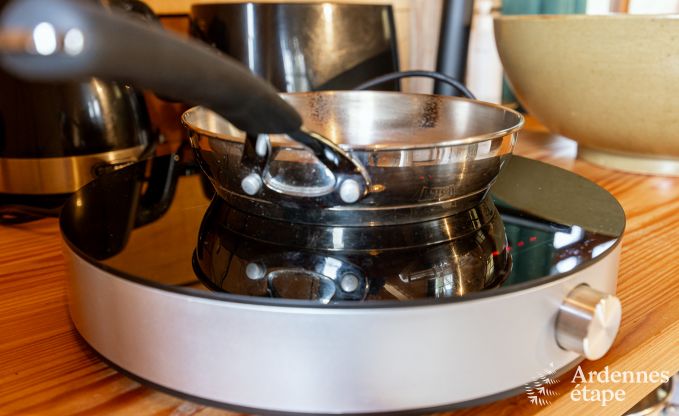 Einzigartiges und gem�tliches Ferienhaus f�r 2 in Yvoir, Ardennen