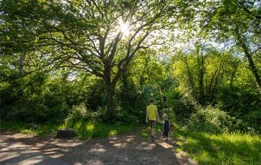                                                             am 1. Mai-Wochenende
                                                    