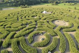 Labyrinth in Provinz Luxemburg