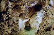 <p>Grotte de l'Abîme</p> - 1