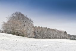 Piste d'Ovifat Ski Club des Hautes Fagnes in Provinz Lttich