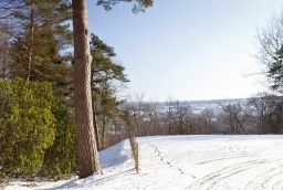 Piste de Luge Zosterbach in Provinz Lttich