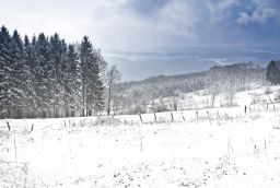 Skipisten von der Baraque Fraiture in Provinz Luxemburg