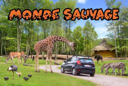 Le Monde Sauvage d'Aywaille in Provinz Lttich