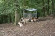 <p>Les parcs animaliers dans les Ardennes</p> - 35